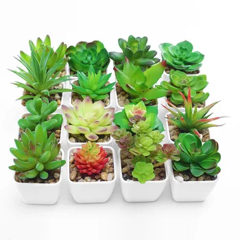 Mesterséges Mini Zöld Szukkulens Növények Hamis Szimuláció Bonsai Edények Dekoratív Mini Növények Asztali Díszek Dekoráció Otthon